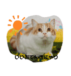 ふて猫ちくわ③（個別スタンプ：9）