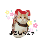 ふて猫ちくわ③（個別スタンプ：10）