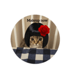 おしゃれまるちゃん。（個別スタンプ：3）