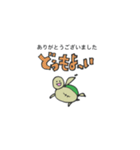 八丈島の海ガメキーちゃん敬語は難しいね（個別スタンプ：1）