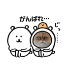 ちんちらーず（個別スタンプ：1）