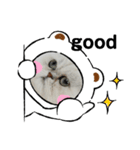 ちんちらーず（個別スタンプ：6）