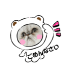 ちんちらーず（個別スタンプ：8）