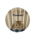 まるちゃんと1日スタンプ（個別スタンプ：5）