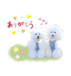 プリフラのステキな♡ハッピースタンプ（個別スタンプ：3）