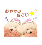 プリフラのステキな♡ハッピースタンプ（個別スタンプ：5）
