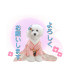 プリフラのステキな♡ハッピースタンプ（個別スタンプ：8）