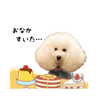 プリフラのステキな♡ハッピースタンプ（個別スタンプ：11）