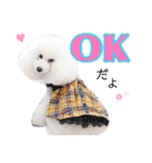 プリフラのステキな♡ハッピースタンプ（個別スタンプ：13）