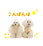 プリフラのステキな♡ハッピースタンプ（個別スタンプ：15）