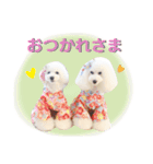 プリフラのステキな♡ハッピースタンプ（個別スタンプ：16）
