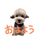 くうらん（個別スタンプ：1）