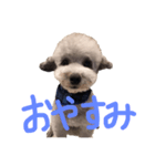 くうらん（個別スタンプ：2）