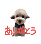 くうらん（個別スタンプ：3）
