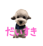 くうらん（個別スタンプ：5）