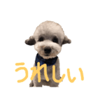 くうらん（個別スタンプ：6）