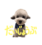くうらん（個別スタンプ：8）