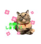 ひまわり〜〜！！（個別スタンプ：10）