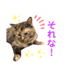 ひまわり〜〜！！（個別スタンプ：12）