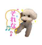 エリーさいとうもーすぐさの（個別スタンプ：1）