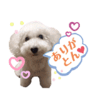 エリーさいとうもーすぐさの（個別スタンプ：3）