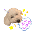 エリーさいとうもーすぐさの（個別スタンプ：5）