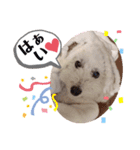 エリーさいとうもーすぐさの（個別スタンプ：6）