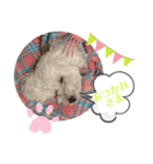 エリーさいとうもーすぐさの（個別スタンプ：7）