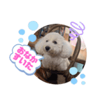 エリーさいとうもーすぐさの（個別スタンプ：9）