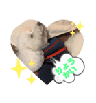 エリーさいとうもーすぐさの（個別スタンプ：11）