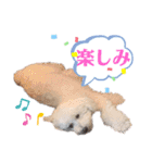 エリーさいとうもーすぐさの（個別スタンプ：12）