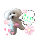 エリーさいとうもーすぐさの（個別スタンプ：16）