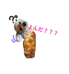 おてんこ（個別スタンプ：7）