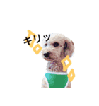 おてんこ（個別スタンプ：10）