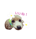 おてんこ（個別スタンプ：12）