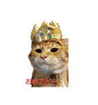 琥珀のつぶやき2（個別スタンプ：1）
