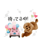 モナのスタンプ・ᴥ・（個別スタンプ：7）