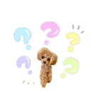 モナのスタンプ・ᴥ・（個別スタンプ：10）