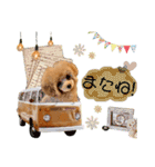 モナのスタンプ・ᴥ・（個別スタンプ：13）