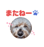 ATOMのすたんぷ（個別スタンプ：6）