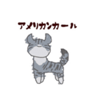 にゃんにゃんだにゃ！（個別スタンプ：1）