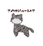 にゃんにゃんだにゃ！（個別スタンプ：2）