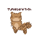 にゃんにゃんだにゃ！（個別スタンプ：3）