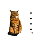 石川家の猫たち（個別スタンプ：20）