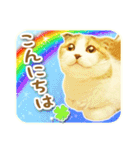 三毛猫ふうちゃん 心なごむ日常会話（個別スタンプ：7）