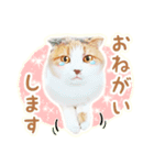 三毛猫ふうちゃん 心なごむ日常会話（個別スタンプ：14）