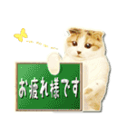 三毛猫ふうちゃん 心なごむ日常会話（個別スタンプ：15）