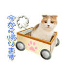 三毛猫ふうちゃん 心なごむ日常会話（個別スタンプ：16）