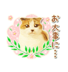 三毛猫ふうちゃん 心なごむ日常会話（個別スタンプ：18）