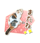 三毛猫ふうちゃん 心なごむ日常会話（個別スタンプ：19）